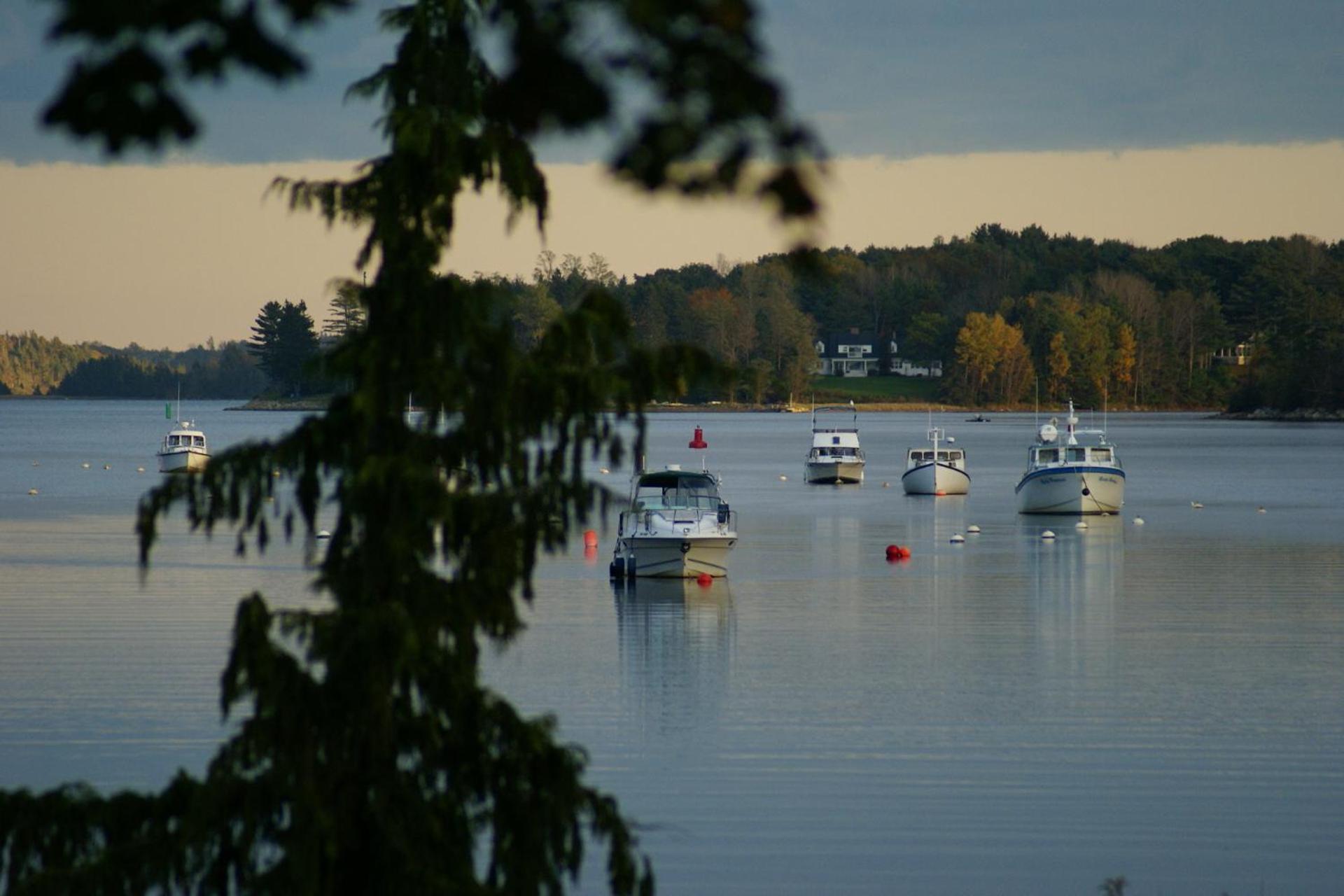 Fisherman'S Daughter B&B Mahone Bay Eksteriør billede